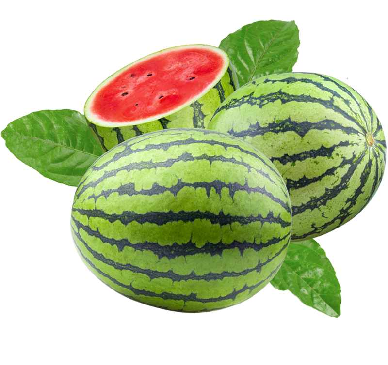 Watermelon image